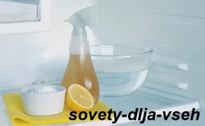 Догляд за холодильником, поради для всіх (догляд) Догляд за холодильником, поради для всіх