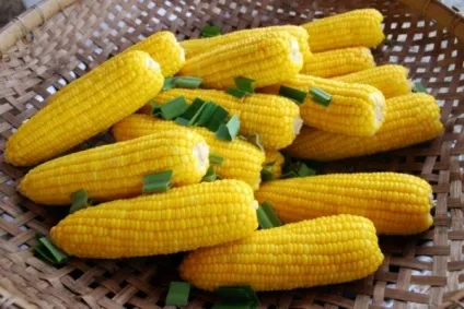 варена кукурудза