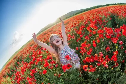 У чому унікальність криму (природа криму) У чому унікальність криму