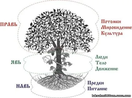 Веди для душі