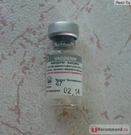 Вакцина ветзвероцентр Вакдерм-f - «хороша вакцина для кішок від позбавляючи», відгуки покупців (вакцина) Вакцина ветзвероцентр Вакдерм-f - «хороша вакцина для кішок від позбавляючи», відгуки покупців