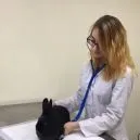 Ветеринарна клініка академія вет (ветеринарна клініка академія вет. Комсомольська 18) Ветеринарна клініка академія вет