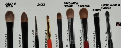 Види кистей для макіяжу - epatante (види) Види кистей для макіяжу - epatante