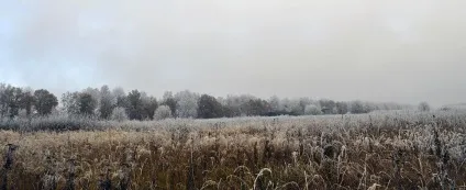 Чи вигідно жити в селі lavkalavka газета (селі) Чи вигідно жити в селі lavkalavka газета