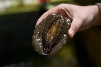 Викиньте негайно! Продукт, який викликає рак, зберігається в кожному холодильнику! Омутнінський вести