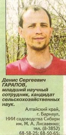 Випрівання, його сутність і шкоду, що наноситься рослинам - сади сибіру (сад) Випрівання, його сутність і шкоду, що наноситься рослинам - сади сибіру