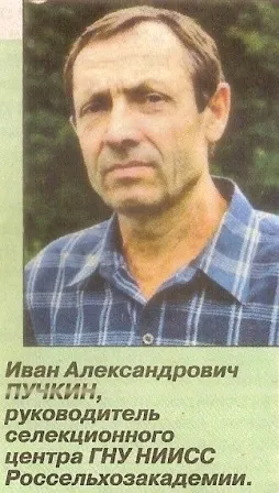 Випрівання, його сутність і шкоду, що наноситься рослинам - сади сибіру (сутність) Випрівання, його сутність і шкоду, що наноситься рослинам - сади сибіру
