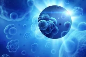 В-клітинна лімфома прогноз, дифузна крупноклеточная, анапластична, маргінальної зони (мальт лімфома) В-клітинна лімфома прогноз, дифузна крупноклеточная, анапластична, маргінальної зони