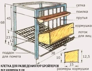 Вирощування бройлерів в домашніх умовах окупається за 2 місяці