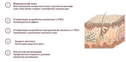 Висловлювання про дермароллер - брехня або істина (дермароллер) Висловлювання про дермароллер - брехня або істина
