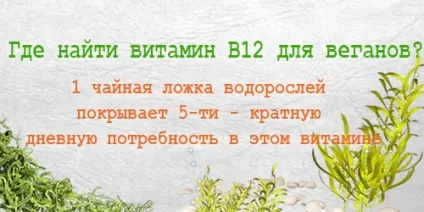 Вітамін в12 (ціанокобаламін), для чого потрібен організму, наслідки нестачі вітаміну (вітамін) Вітамін в12 (ціанокобаламін), для чого потрібен організму, наслідки нестачі вітаміну