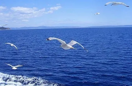 Вода і здоров'я