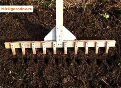 Вирощування моркви секрети врожайних грядок (вирощування) Вирощування моркви секрети врожайних грядок