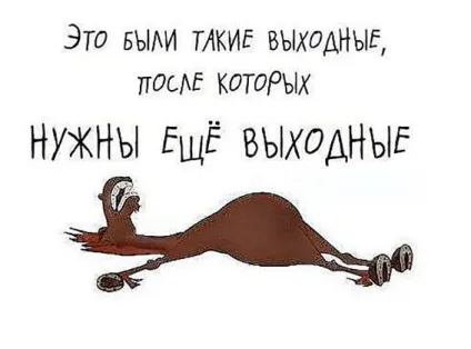 Вихід на роботу після новорічних свят 2017 як здійснити задумане (після) Вихід на роботу після новорічних свят 2017 як здійснити задумане