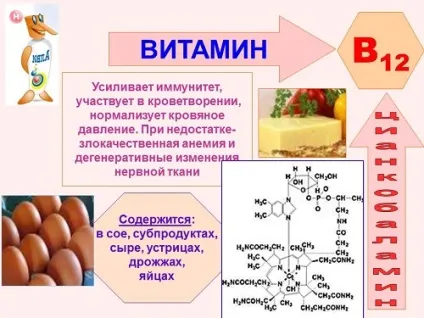 Вітамін в12 ціанокобаламін вміст у продуктах харчування та роль в організмі
