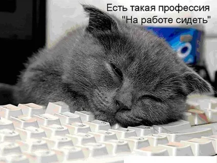 Вихід на роботу після новорічних свят 2017 як здійснити задумане (роботу) Вихід на роботу після новорічних свят 2017 як здійснити задумане