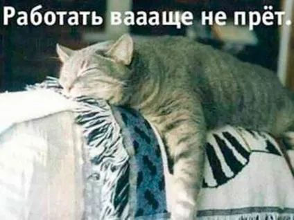 Вихід на роботу після новорічних свят 2017 як здійснити задумане (вихід) Вихід на роботу після новорічних свят 2017 як здійснити задумане