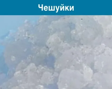 Вітрини для суші і суші-кейси, льодогенератори hoshizaki - український проект (суші-кейси) Вітрини для суші і суші-кейси, льодогенератори hoshizaki - український проект