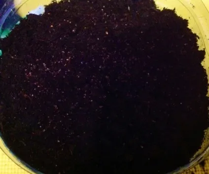 Вирощування щавлю з насіння на підвіконні (насіння) Вирощування щавлю з насіння на підвіконні