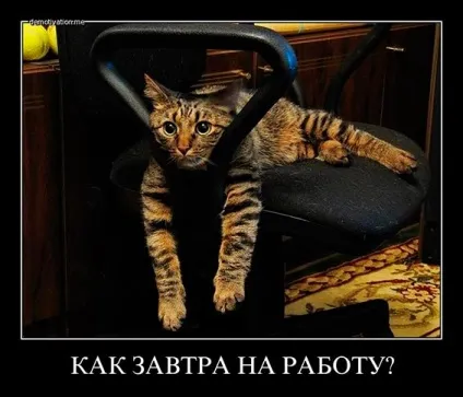 Вихід на роботу після новорічних свят 2017 як здійснити задумане (новорічних) Вихід на роботу після новорічних свят 2017 як здійснити задумане