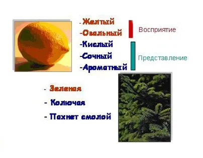 Сприйняття і представлення інформації (сприйняття) Сприйняття і представлення інформації