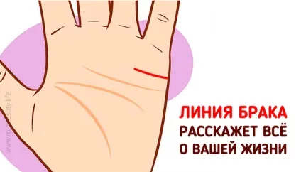 Ось що розповість лінія шлюбу про ваше особисте життя ... (життя) Ось що розповість лінія шлюбу про ваше особисте життя ...