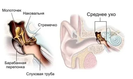 Запалення вуха у дитини причини, симптоми, лікування (запалення середнього вуха у дитини симптоми лікування) Запалення вуха у дитини причини, симптоми, лікування