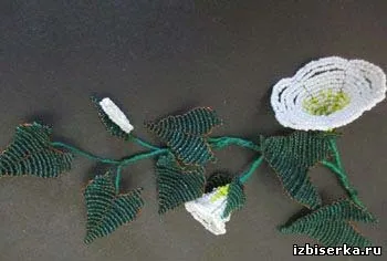 Березка з бісеру, польові квіти з бісеру (бісеру) Березка з бісеру, польові квіти з бісеру