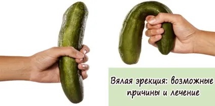 Млява ерекція можливі причини і лікування