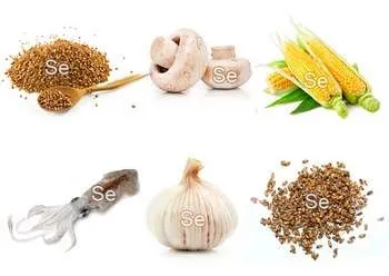У яких продуктах міститься селен (яких продуктах міститься селен) У яких продуктах міститься селен