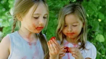 Виводимо плями від фруктів, овочів і ягід з одягу, будинки класно (пляма буряка) Виводимо плями від фруктів, овочів і ягід з одягу, будинки класно
