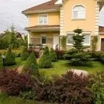 Хвойні композиції в ландшафтному дизайні дачної ділянки (композиції) Хвойні композиції в ландшафтному дизайні дачної ділянки
