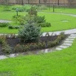 Хвойні композиції в ландшафтному дизайні дачної ділянки (композиції) Хвойні композиції в ландшафтному дизайні дачної ділянки