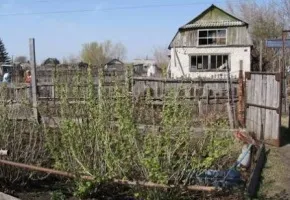 Яблуні на дачі посадка, вирощування і догляд (дерев) Яблуні на дачі посадка, вирощування і догляд