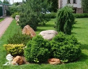 Хвойні композиції в ландшафтному дизайні дачної ділянки (ділянки) Хвойні композиції в ландшафтному дизайні дачної ділянки