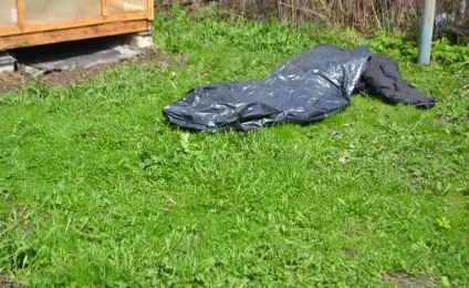 Юнтоловский заказник вбивство бабусі і дитини відео, подробиці, хто вбив (убив) Юнтоловский заказник вбивство бабусі і дитини відео, подробиці, хто вбив