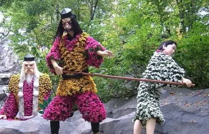 Хризантеми в горщику