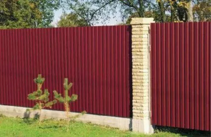 Паркани та огорожі в ландшафтному дизайні (Варіант лише відгородитися »підходить) Паркани та огорожі в ландшафтному дизайні