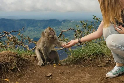 Навіщо вона це зробила girls in travel - the devochki