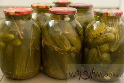 Хрусткі квашені огірки на зиму, рецепт з фото (закачування) Хрусткі квашені огірки на зиму, рецепт з фото