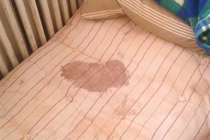 Я не вбивав бабусю »
