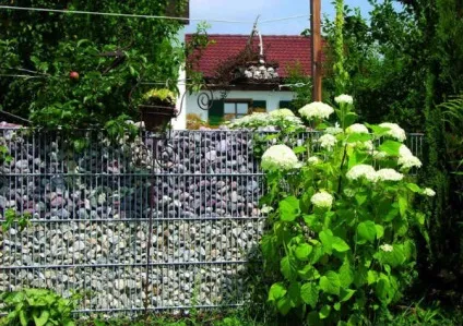 Паркани та огорожі в ландшафтному дизайні (Варіант лише відгородитися ») Паркани та огорожі в ландшафтному дизайні