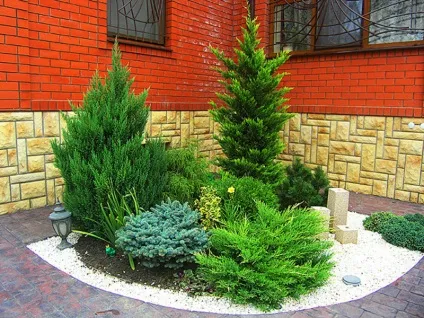 Хвойні композиції в ландшафтному дизайні дачної ділянки (композиції) Хвойні композиції в ландшафтному дизайні дачної ділянки