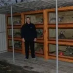 Закритий навіс з обігрівом своїми руками (руками) Закритий навіс з обігрівом своїми руками