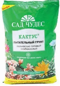 Замиокулькас - пересадка квітки після покупки і догляд в домашніх умовах (відео інструкція) (пересадка) Замиокулькас - пересадка квітки після покупки і догляд в домашніх умовах (відео інструкція)