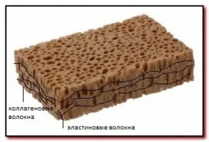 Захист шкіри від ультрафіолетового випромінювання, секрети молодості та краси