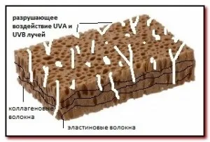 Захист шкіри від ультрафіолетового випромінювання, секрети молодості та краси