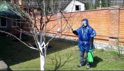 Захист яблуні від гризунів лікування і профілактика від шкідників