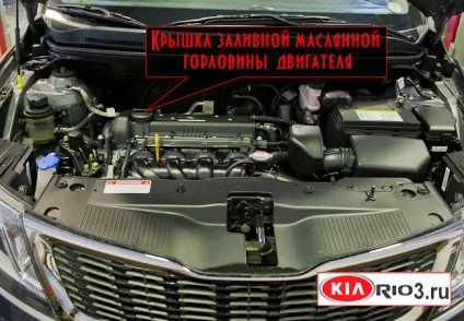 Заміна масла кіа ріо-3