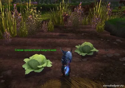 Хлібороби в mists of pandaria (землероби) Хлібороби в mists of pandaria